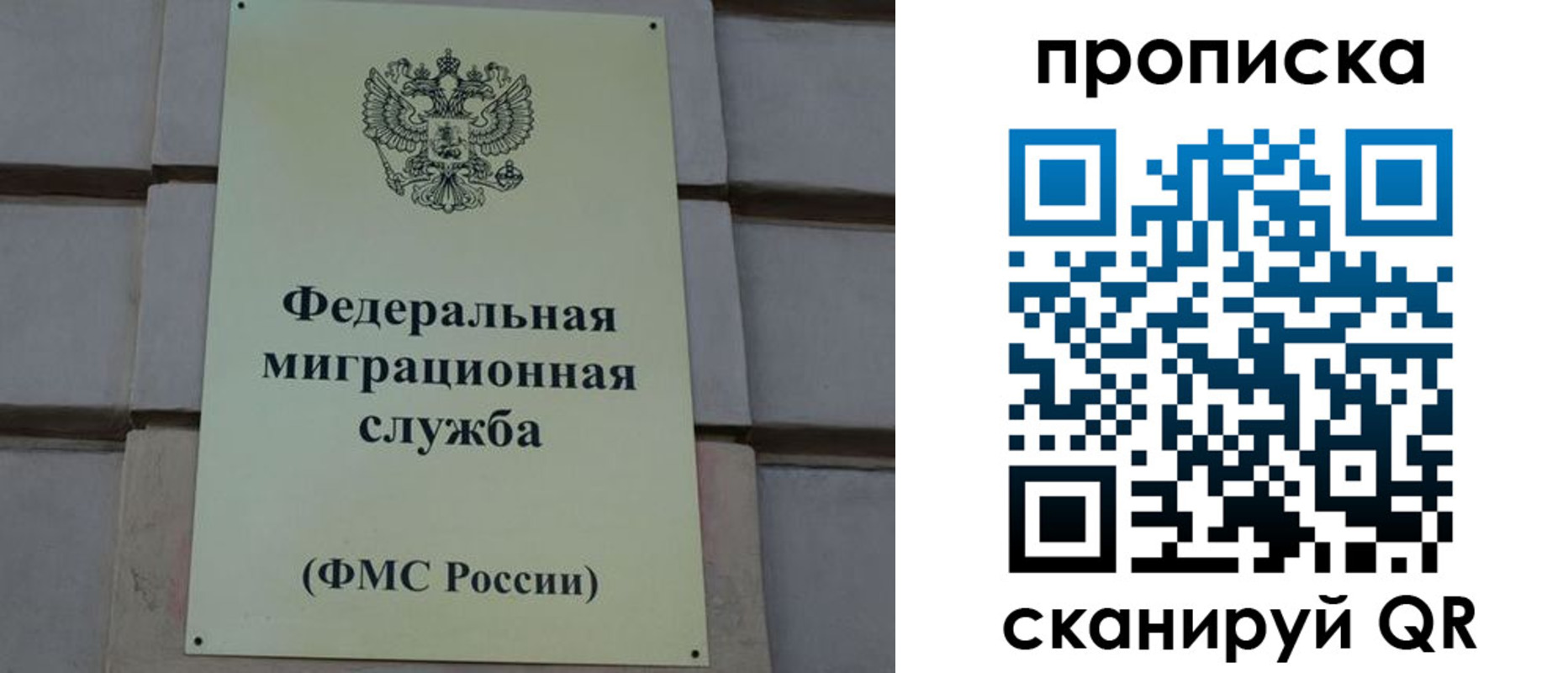прописка поиск в Емве